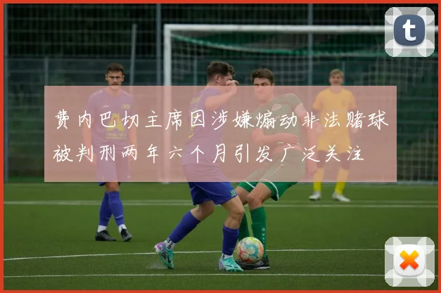费内巴切主席因涉嫌煽动非法赌球被判刑两年六个月引发广泛关注