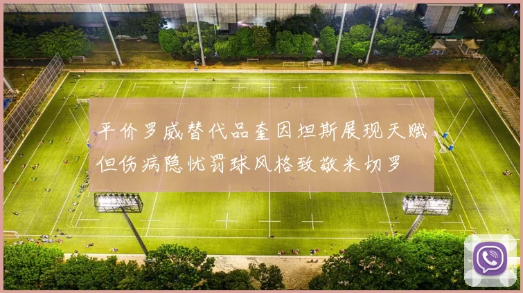 平价罗威替代品奎因坦斯展现天赋但伤病隐忧罚球风格致敬米切罗